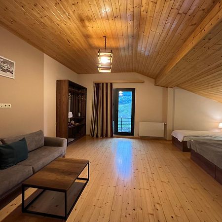 Hotel Axien Kazbegi エクステリア 写真