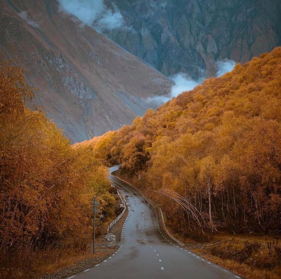 Hotel Axien Kazbegi エクステリア 写真