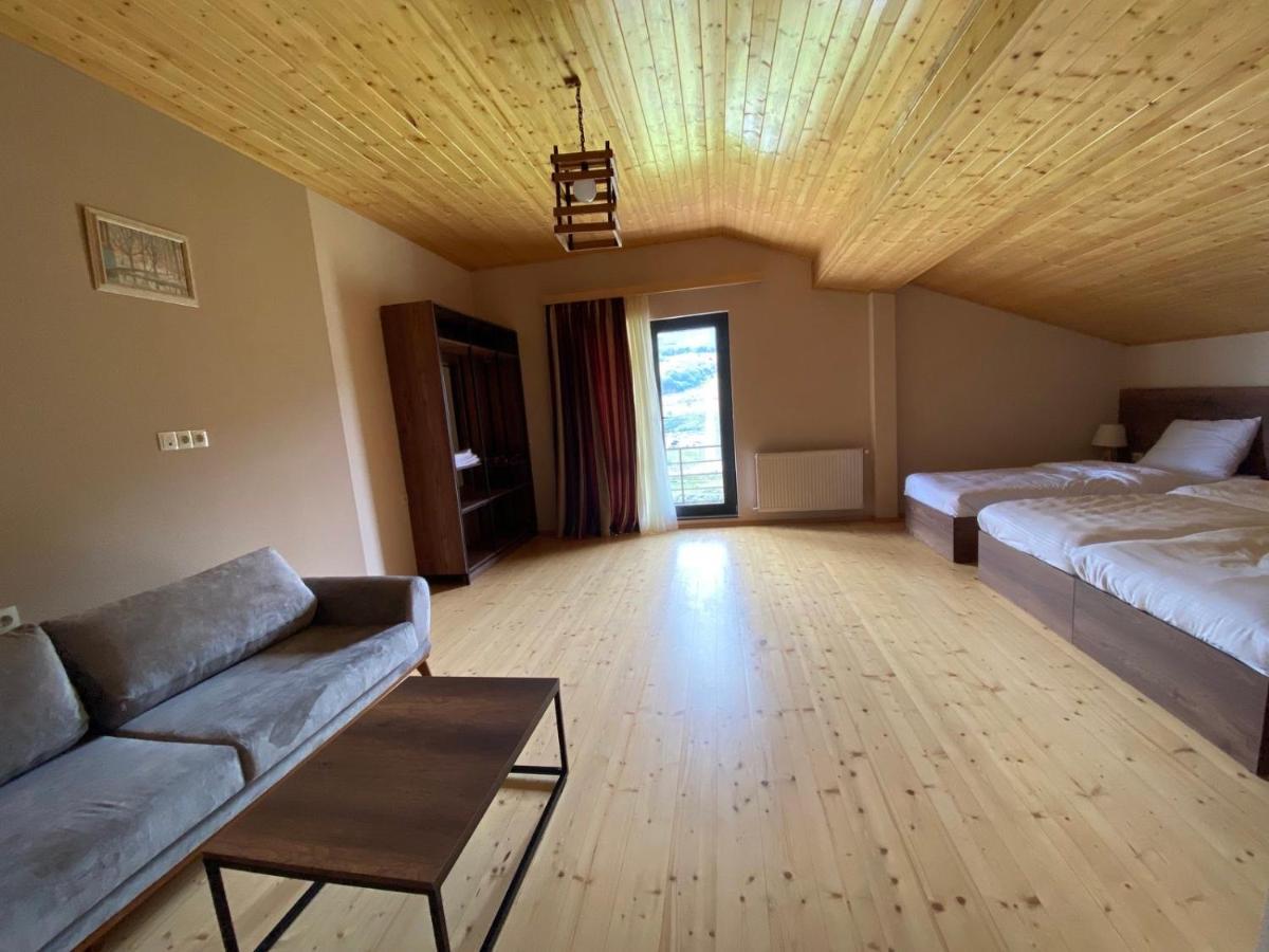 Hotel Axien Kazbegi エクステリア 写真