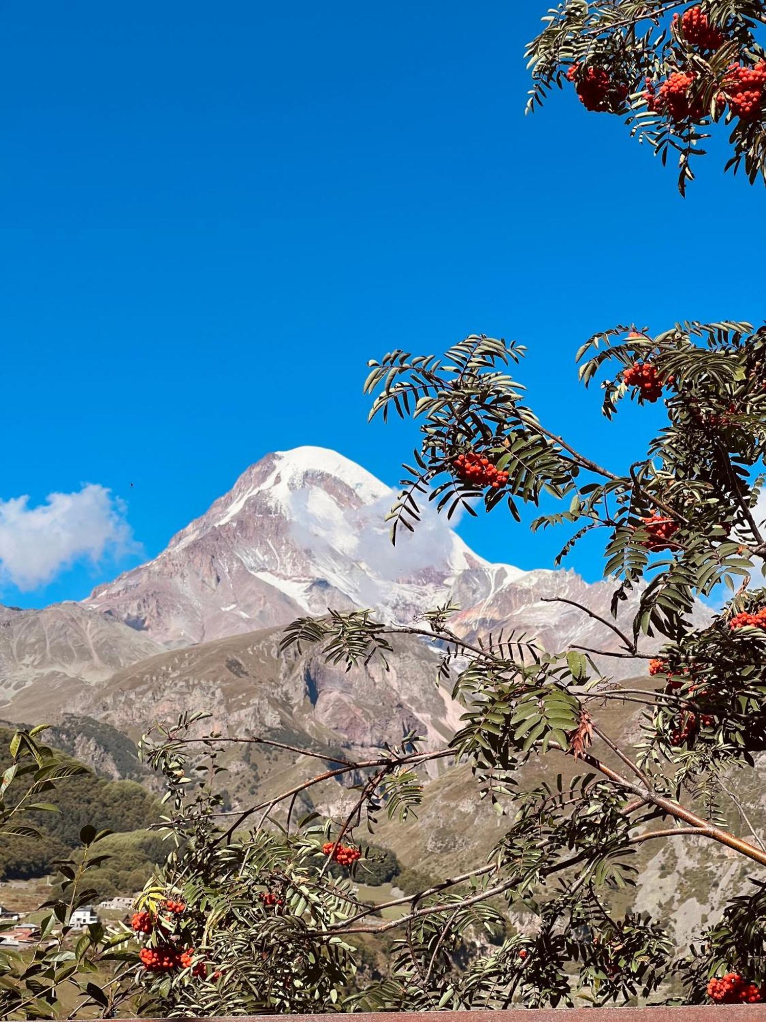 Hotel Axien Kazbegi エクステリア 写真